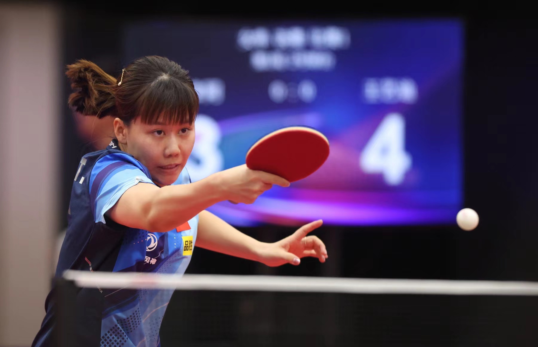 的训练过程 的训练过程