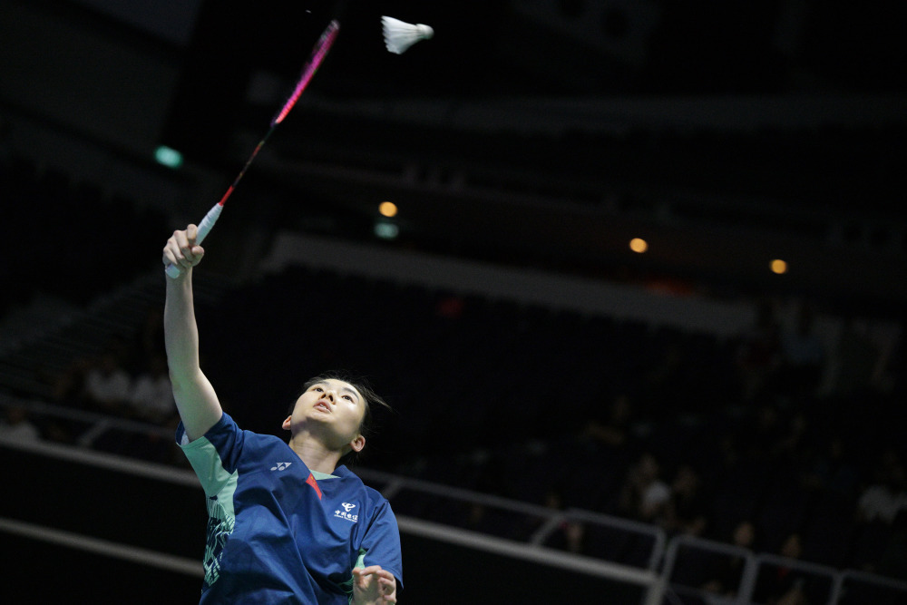 的荣誉与奖 的荣誉与奖